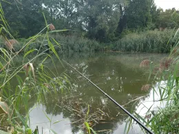 Fischteiche Marx (Wüstenjerichow)-1