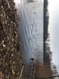 Anna Süd (Helmstedt)-3