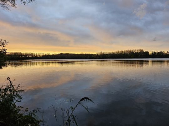 Anna Süd (Helmstedt)
