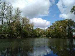 Mühlenteich Ovelgönne-1