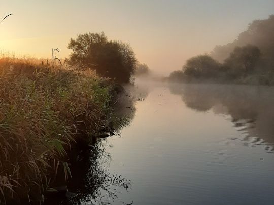 Aller (Winsen/Aller)-1