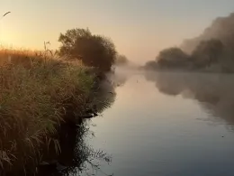 Aller (Winsen/Aller)-1