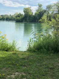 Scherer 1 (Sondernheim)