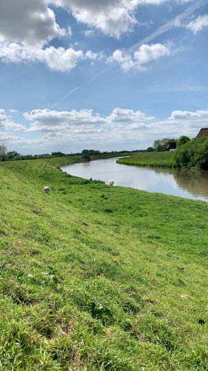 Pinnau (Neuendeich)-1