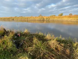 Pinnau (Neuendeich)-2