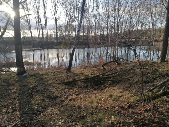 Schleienloch (Krugsdorf)