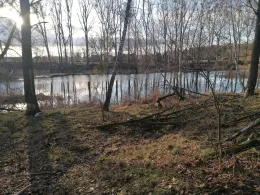 Schleienloch (Krugsdorf)