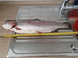 Auslaufkanal (Augsburg)-1