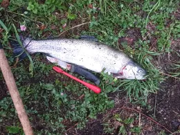 Auslaufkanal (Augsburg)