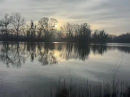 Ameisensee (Söllingen)-1