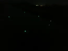 Utergadinger Sieltief