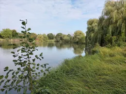 Mühlenteich (Wolfsburg-Kreuzheide)-3