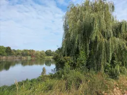 Mühlenteich (Wolfsburg-Kreuzheide)-0