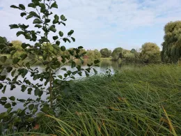 Mühlenteich (Wolfsburg-Kreuzheide)-1