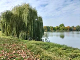Mühlenteich (Wolfsburg-Kreuzheide)-2