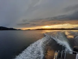 Linesoya (Europäisches Nordmeer)-2