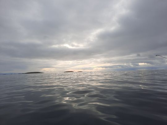 Linesoya (Europäisches Nordmeer)-4