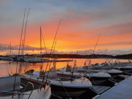 Linesoya (Europäisches Nordmeer)-1