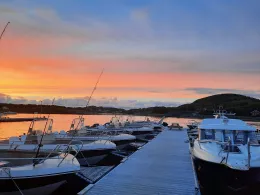 Linesoya (Europäisches Nordmeer)-3