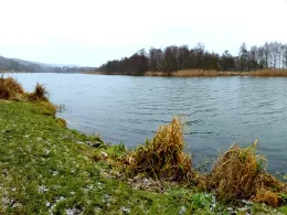 Oder-Havel-Kanal (Lieper See)-2