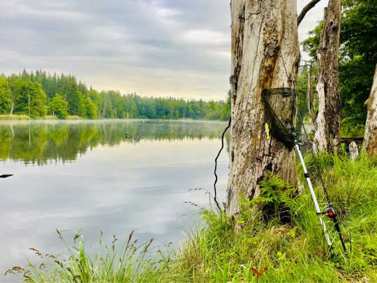 Schildestausee (Schildfeld)