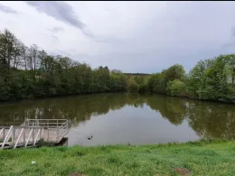 Sylvanersee (Bamberg)-3