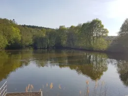 Sylvanersee (Bamberg)