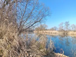 Stille Mulde (Friedersdorf)