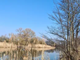 Stille Mulde (Friedersdorf)-1