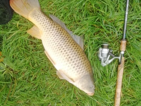 Weiheranlage Herchenbach-1