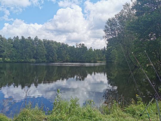 Steinweiher (Wildenau)-1