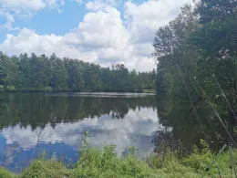 Steinweiher (Wildenau)-1