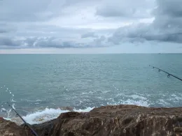 Mittelmeer (Cecina)-1