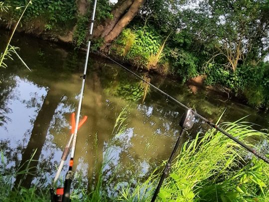 Wetter (Muschenheim)-2