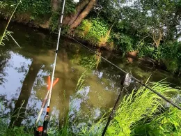 Wetter (Muschenheim)-2