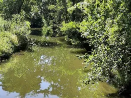 Wetter (Muschenheim)