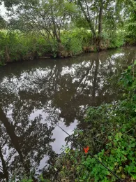 Wetter (Muschenheim)-3