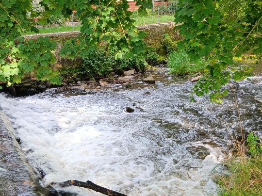 Wetter (Muschenheim)-4