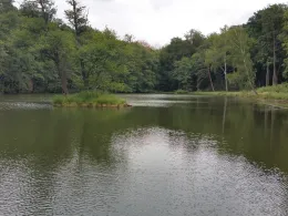 Teufelssee (Bad Freienwalde)-1