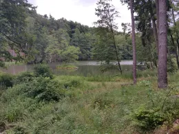 Teufelssee (Bad Freienwalde)