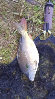 Tagebaurestloch Kamerad-2