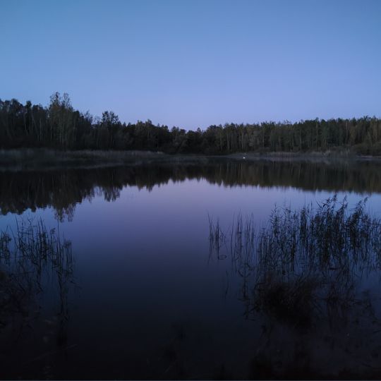 Tagebaurestloch Kamerad-3