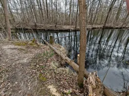 Sandteich (Lauchhammer)-1