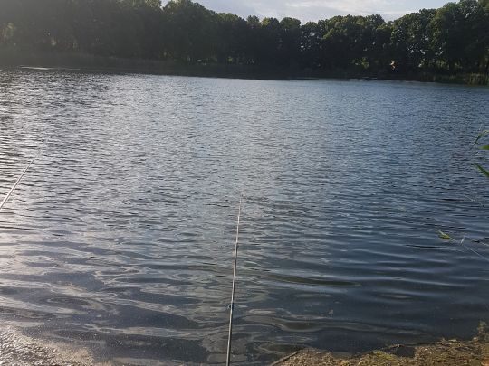 Orankesee (Hohenschönhausen)-3