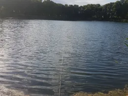 Orankesee (Hohenschönhausen)-3