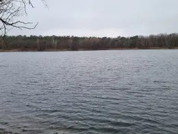 Blauer See (Lehrte)-1