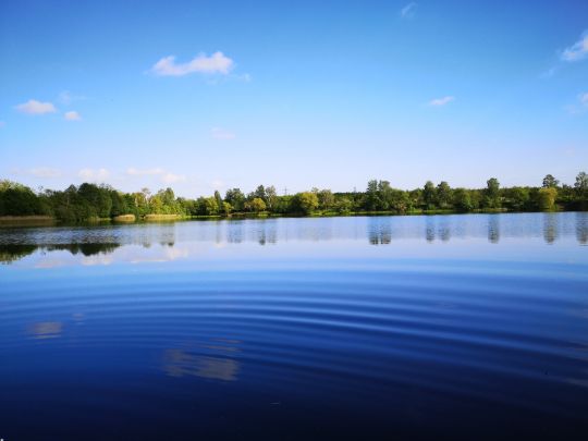Blauer See (Lehrte)-2