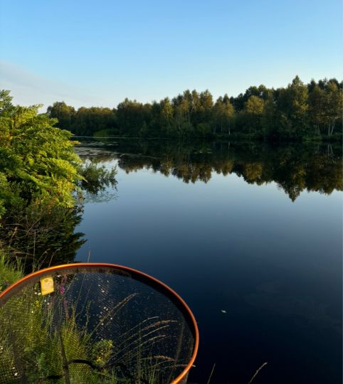 Ostroher- und Süderholmer Moor-3