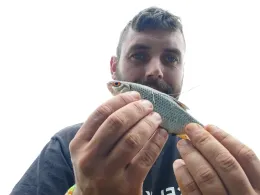 Ostroher- und Süderholmer Moor-4