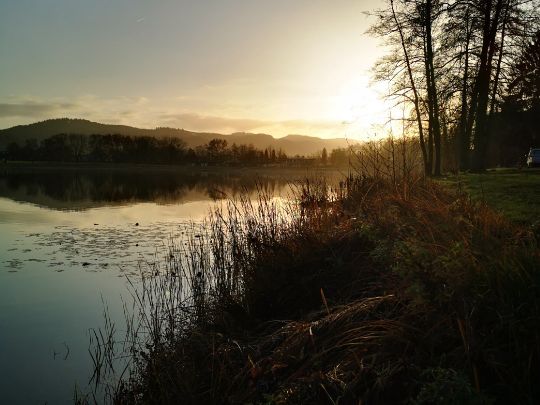 Wiesensee (Hemsbach)-3
